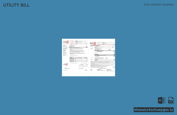Stromrechnung von Hydro One, Ontario, USA (2 Seiten, Beispielansicht)